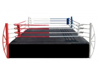 Personlig Högkvalitativ Muay Thai boxningsring 4x4m